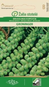 Rooskapsas "Groninger" Žalia stotelė 1 g