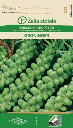 Brussels sprouts Brassica oleracea "Groninger" seeds, Žalia stotelė 1 g