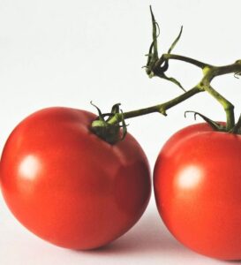 Solanum l. "Erk"