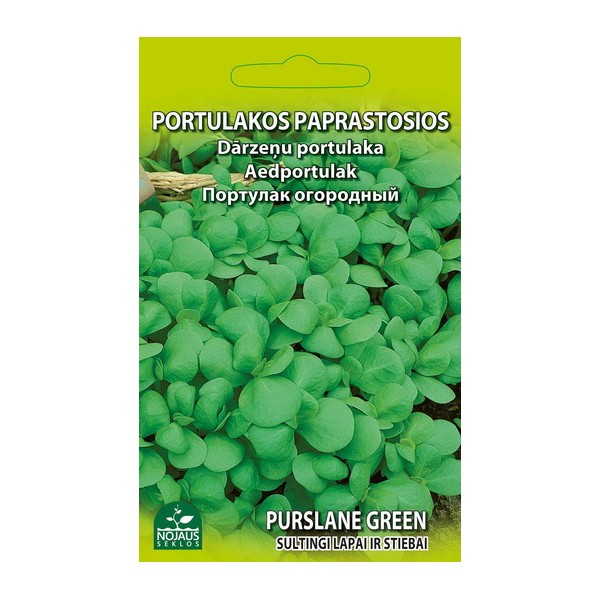 Dārza portulaks Portulaca oleracea "Purslane Green", sēklas Nojaus 1 g