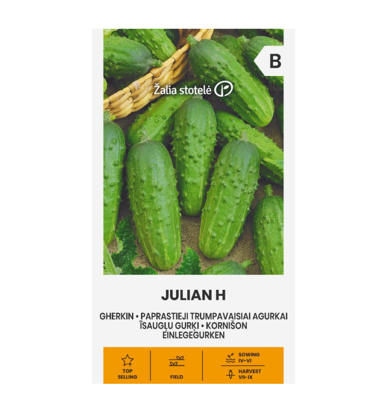 Kornišon "Julian H" Žalia stotele 2 g