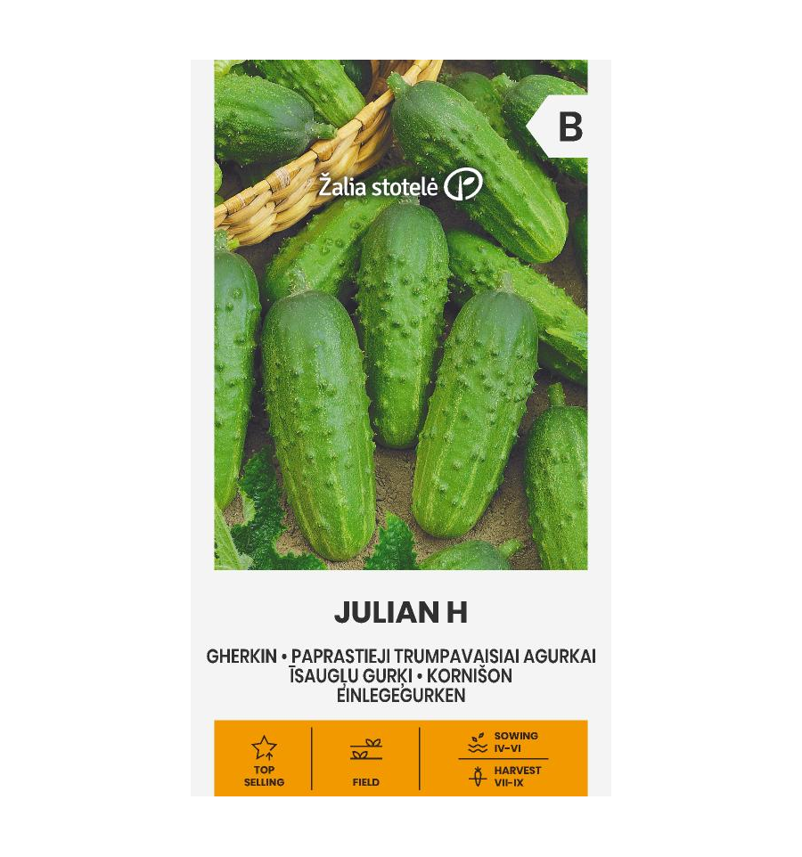 Etikkakurkku "Julian H" Žalia stotele 2 g