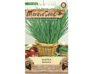Murulauk "Bohemia" Moravo Seed 1000 s.