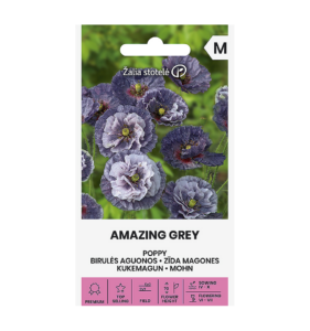 Kukemagun "Amazing Grey" Žalia stotele 0,3 g