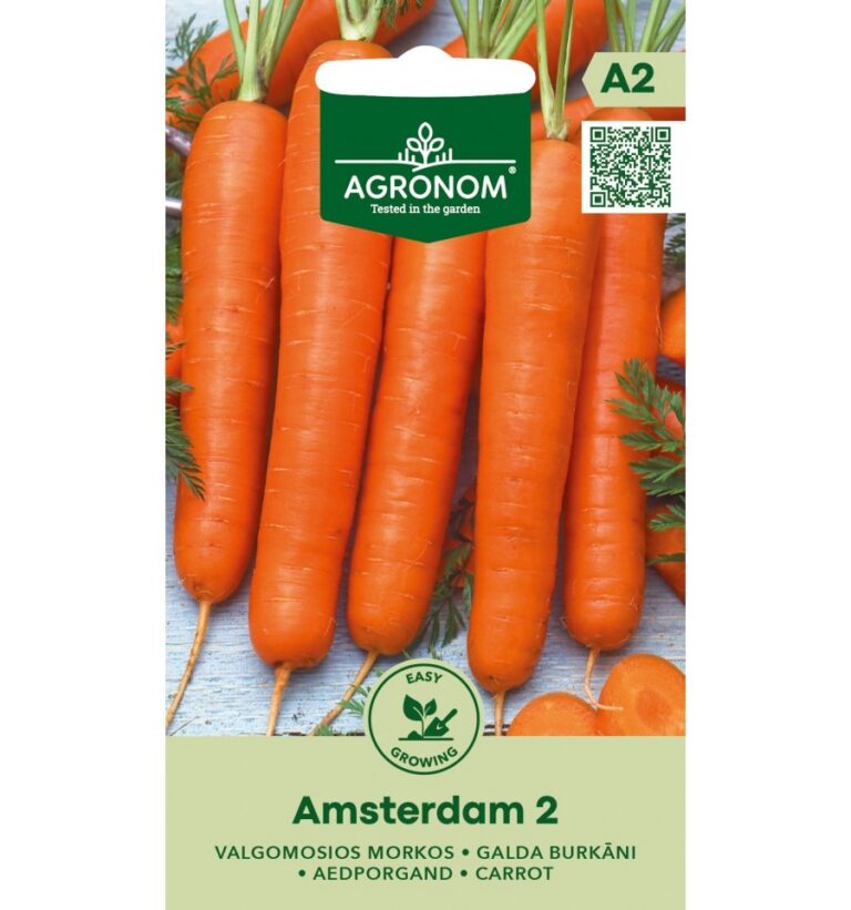 Valgomosios morkos Daucus carota "Amsterdam 2" (Agronom sėklos, 3 g)