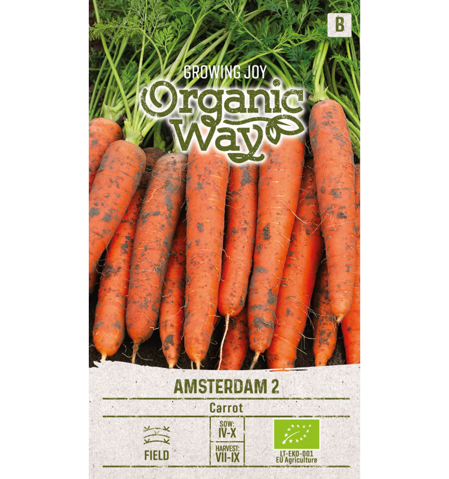 Carrot Daucus carota "Amsterdam 2" (Organic Way seeds, 2 g)