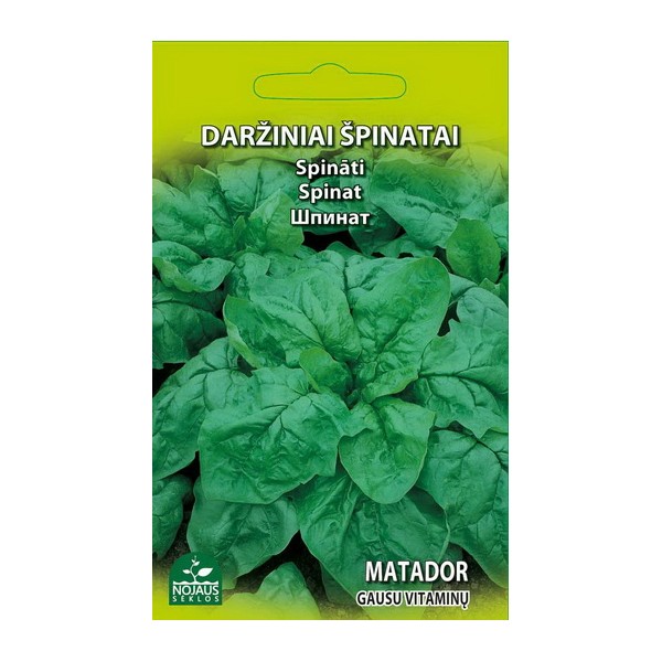 Pinaatti Spinacia oleracea "Matador" (Nojaus-siemenet, 2 g)