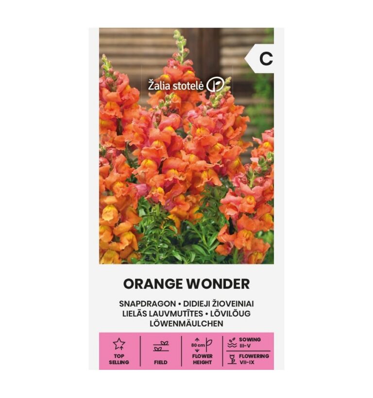 Lõvilõig "Orange Wonder" Žalia stotele 0,5 g