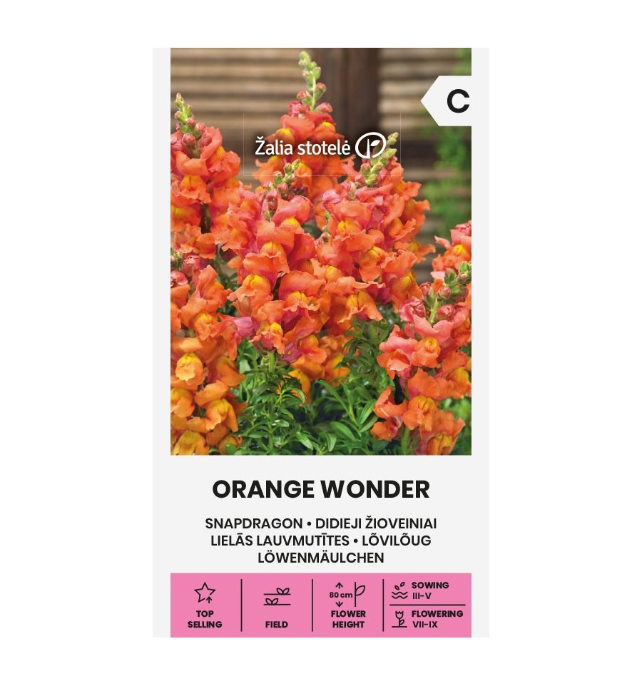 Львиный зев "Orange Wonder" Žalia stotele 0,5 г