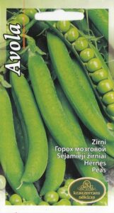 Zirņi "Avola" KURZEMES SĒKLAS 15 g