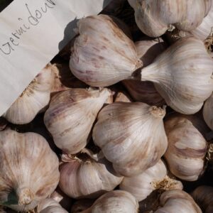 "Germidour" taliküüslauk pakis 250 g Seklos