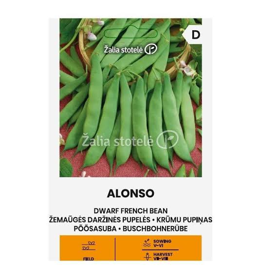Žemaūgės daržinės pupelės Phaseolus vulgaris "Alonso", sėklos Žalia stotelė 3 g