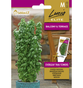 Vürtsbasiilik "Everleaf Thai Towers" Lucia ELITE 20 s