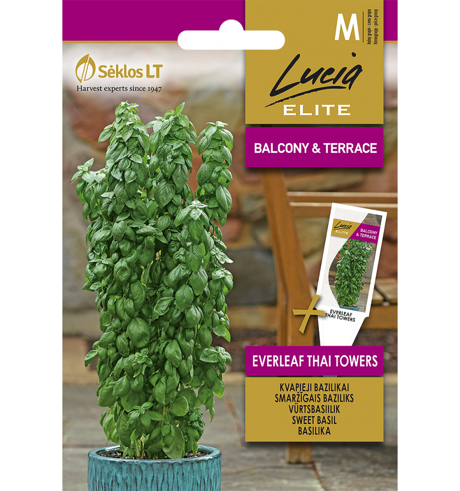 Острый базилик "Everleaf Thai Towers" Lucia ELITE 20 семян