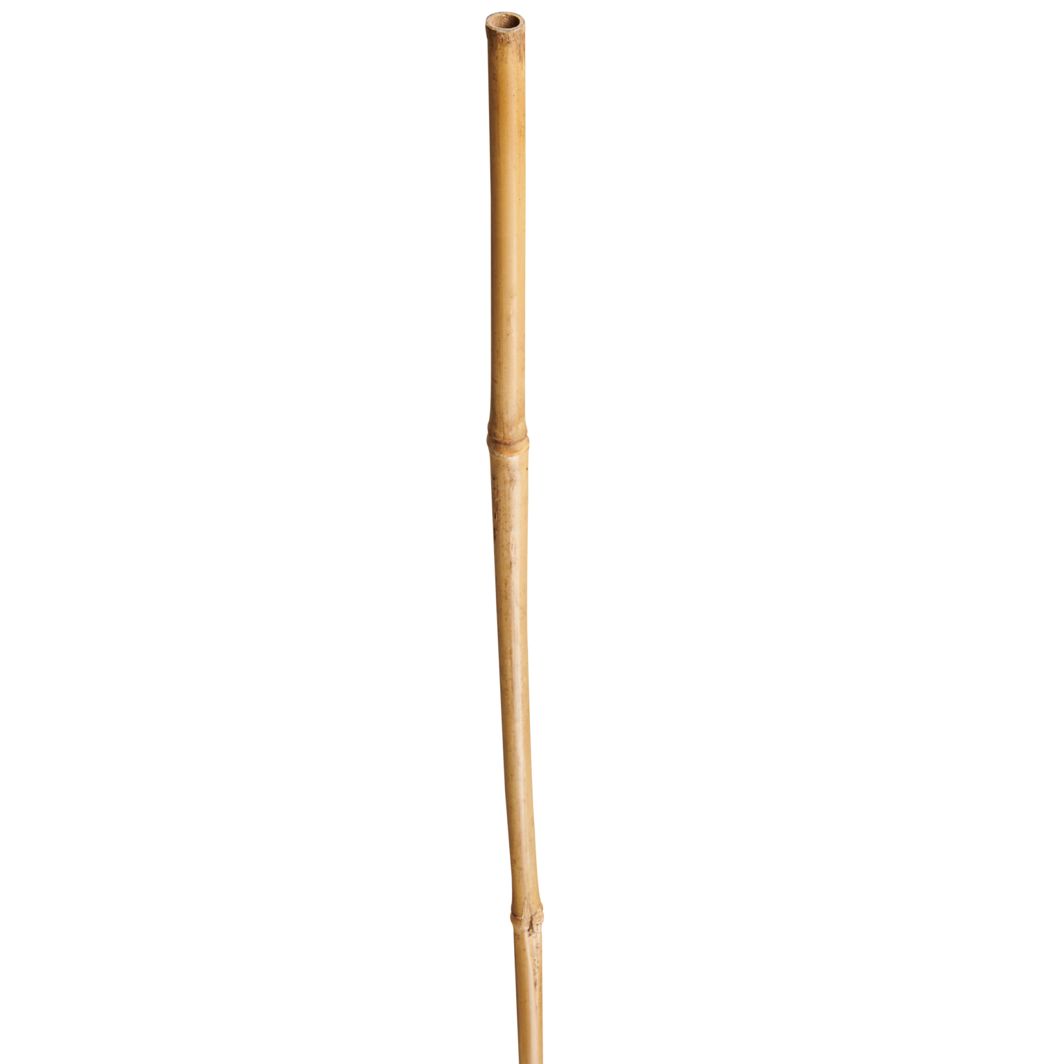 Bambustugi Ø12/14mm X 1.8m NORTENE 1 tk