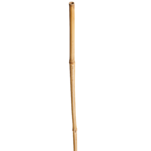 Bambustugi Ø12/14mm X 1.8m NORTENE 1 tk