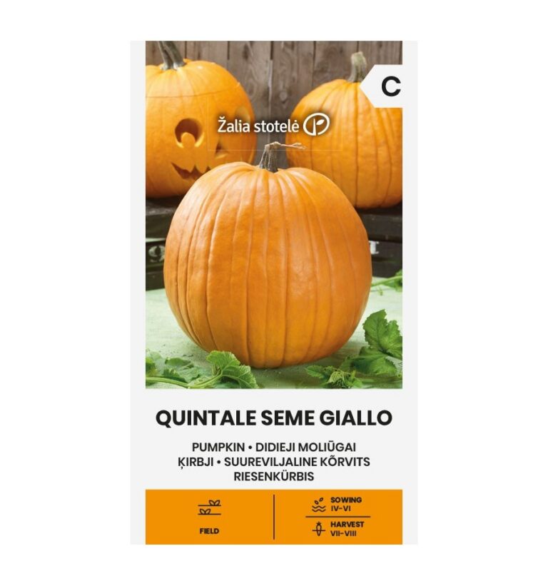 Suureviljaline kõrvits "Quintale seme giallo" 2 g