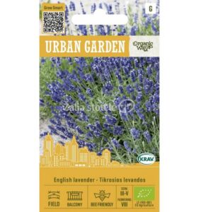 Lavandula angustifolia 0,4g Urban Garden