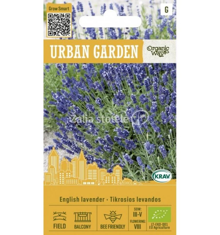 Lavandula angustifolia 0,4g Urban Garden
