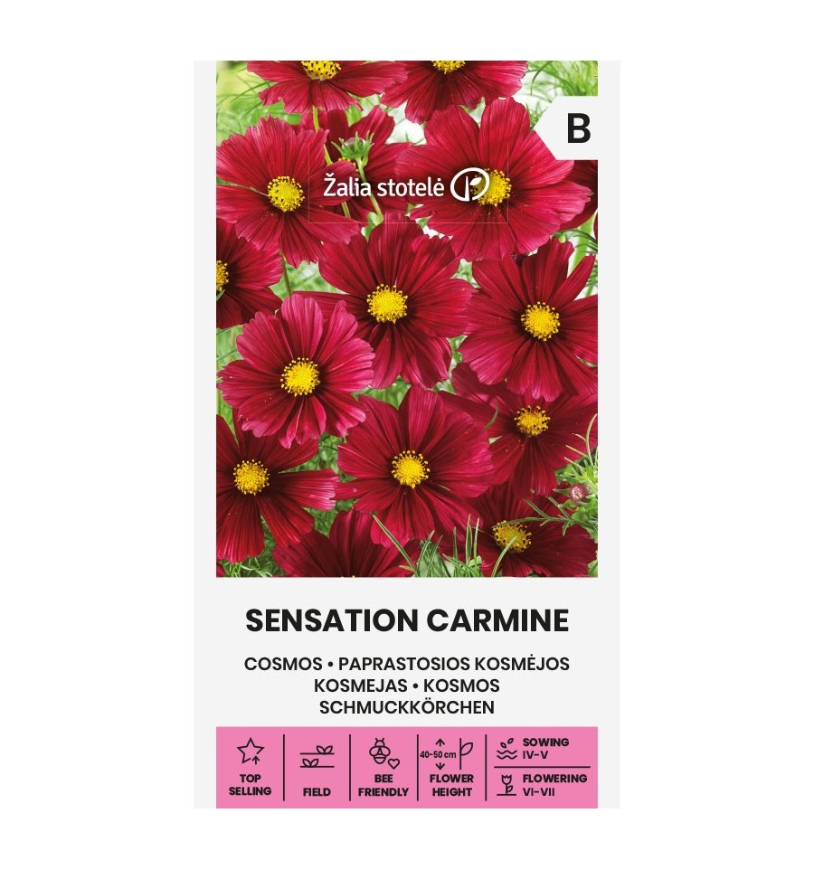 Cosmos "Sensation Carmine" Žalia stotele 1 g