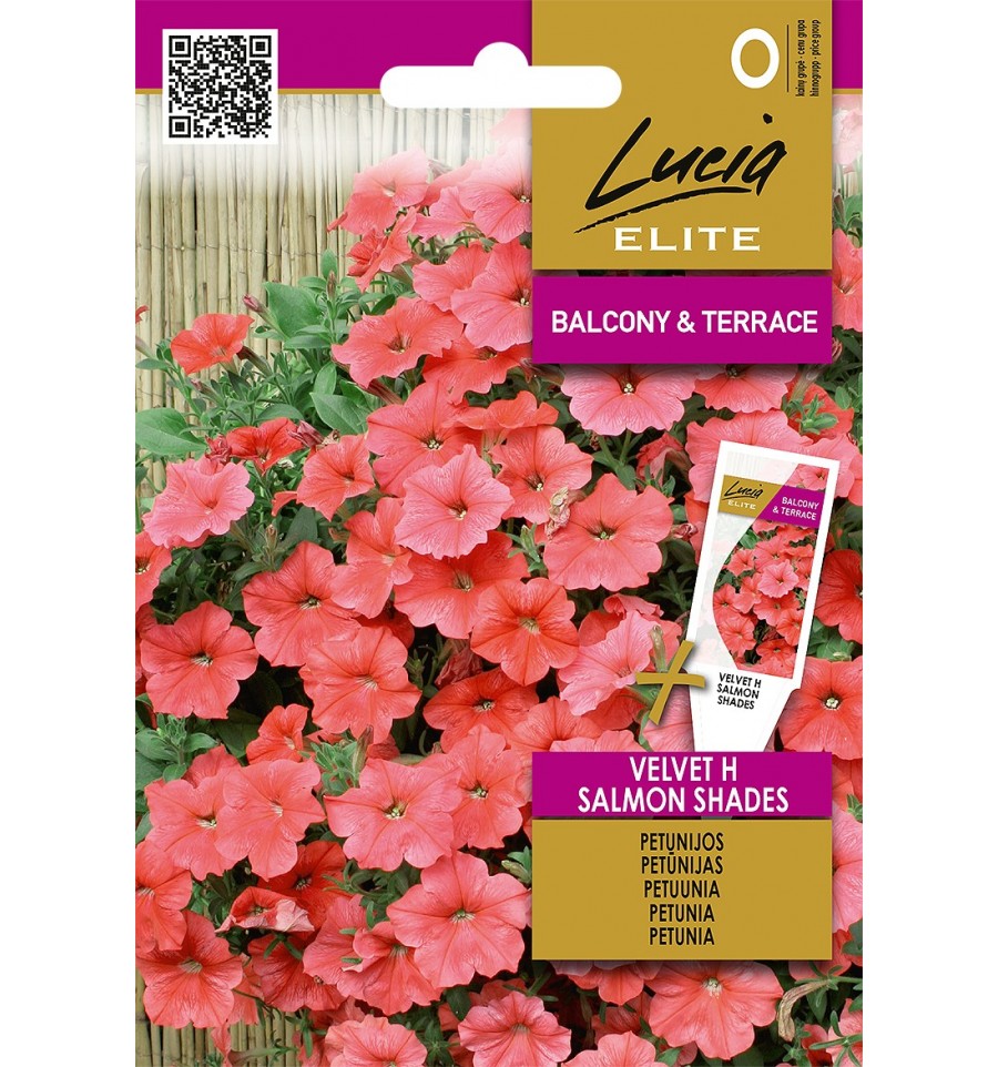 Petūnija "Velvet H Salmon Shades" Lucia ELITE 7 sēklas