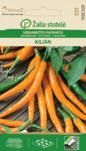 Capsicum an. "Kilian"