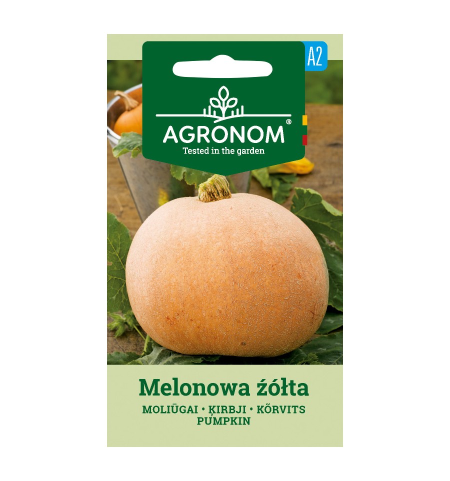 Jättikurpitsa "Melonowa Żółta", siemenet Agronom 1,5 g