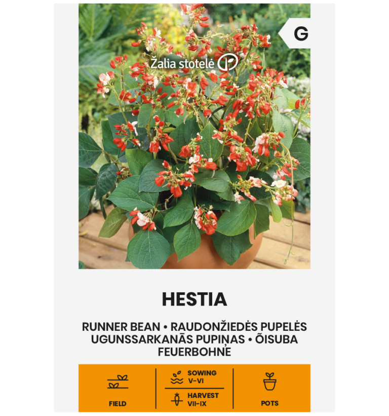 Õisuba "Hestia" 10 g Žalia stotele