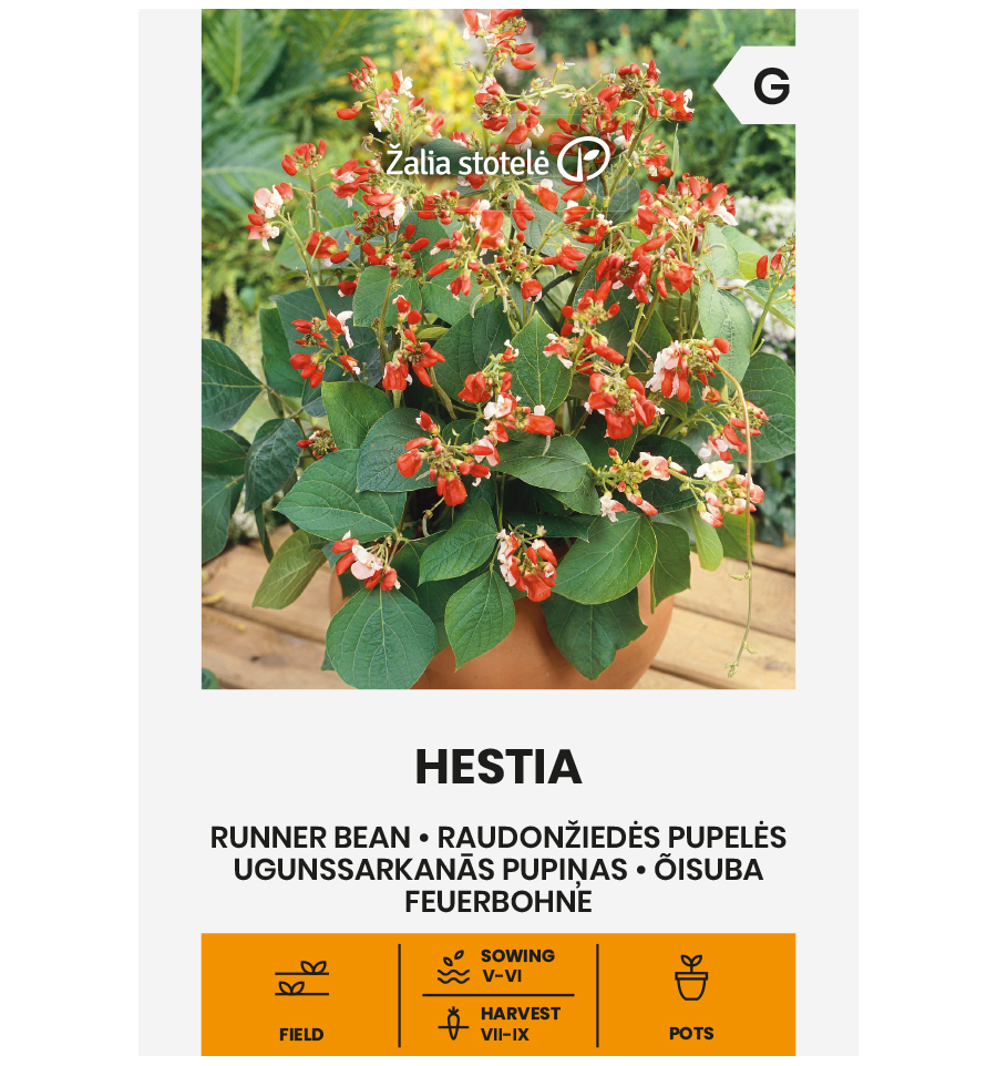 Фасоль цветочная "Hestia" (Phaseolus coccineus), 10 г