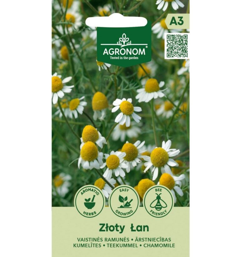 Teekummel "Zloty Lan" AGRONOM 0,5 g