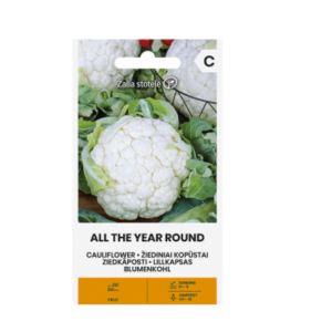 Lillkapsas "All The Year Round" Žalia stotelė 1 g