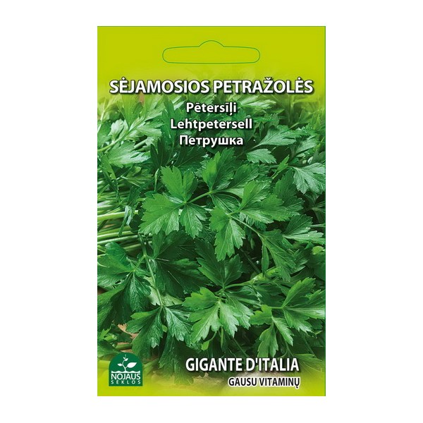 Sėjamosios petražolės Petroselinum crispum "Gigante d'Italia" (Nojaus sėklos, 2 g)