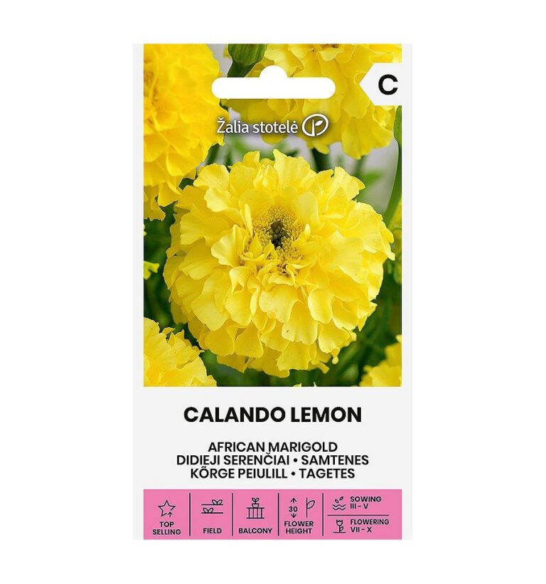 Kõrge peiulill "Calando Lemon" Žalia stotele 0,5 g