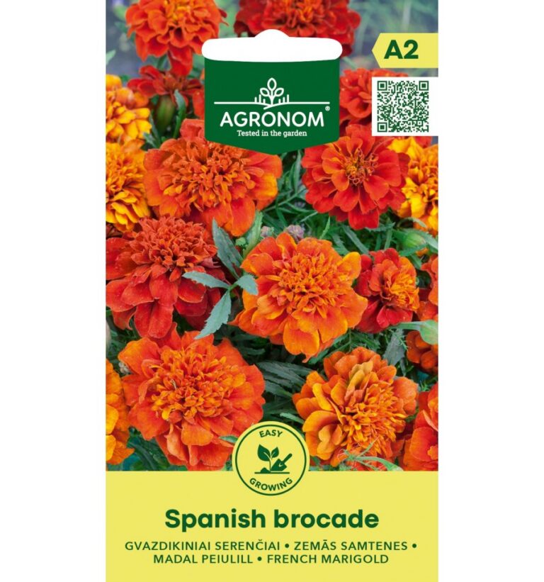 Madal peiulill "Spanish Brocade" AGRONOM 0,4 g
