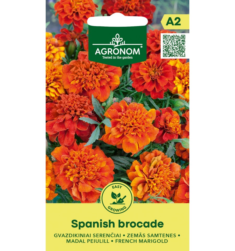 French marigold "Spanish Brocade" AGRONOM 0.4 g