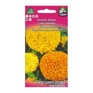 Kõrge peiulill "Sunset Giants Double" Nojaus 0,5 g
