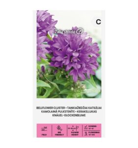 Campanula glomerata, sinine 0,1g
