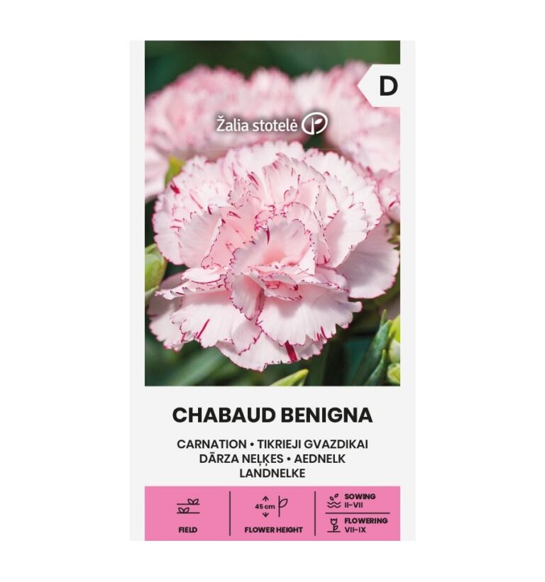 Tikrasis gvazdikas "Chabaud Benigna" Žalia stotelė 0,5g