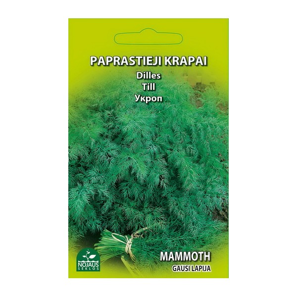 Paprastieji krapai Anethum graveolens "Mammoth", sėklos Nojaus 3 g