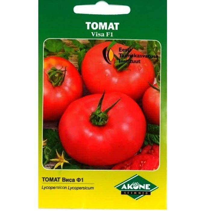 Tomato "Visa" (Solanum lycopersicum)