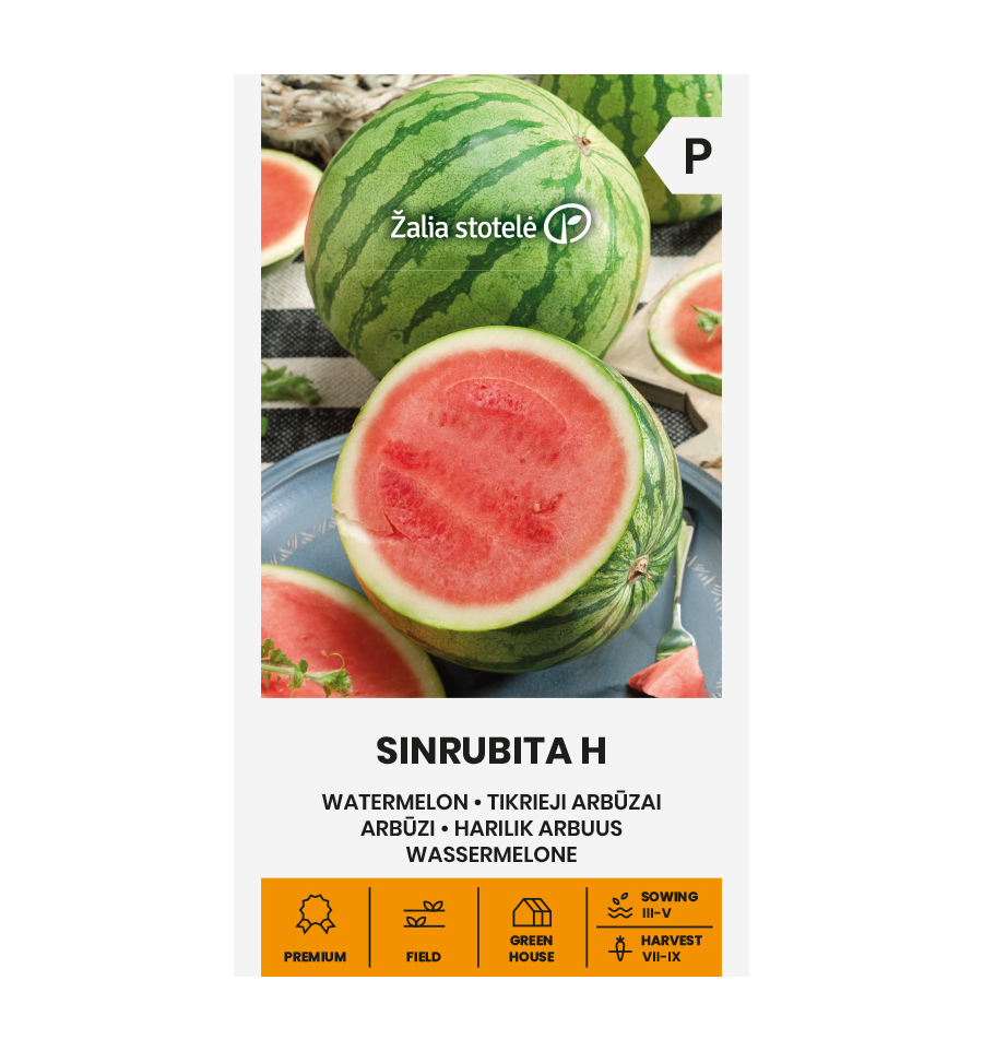 Watermelon Citrullus lanatus "Sinrubita H", seedless (Žalia stotelė seeds, 5 seeds)