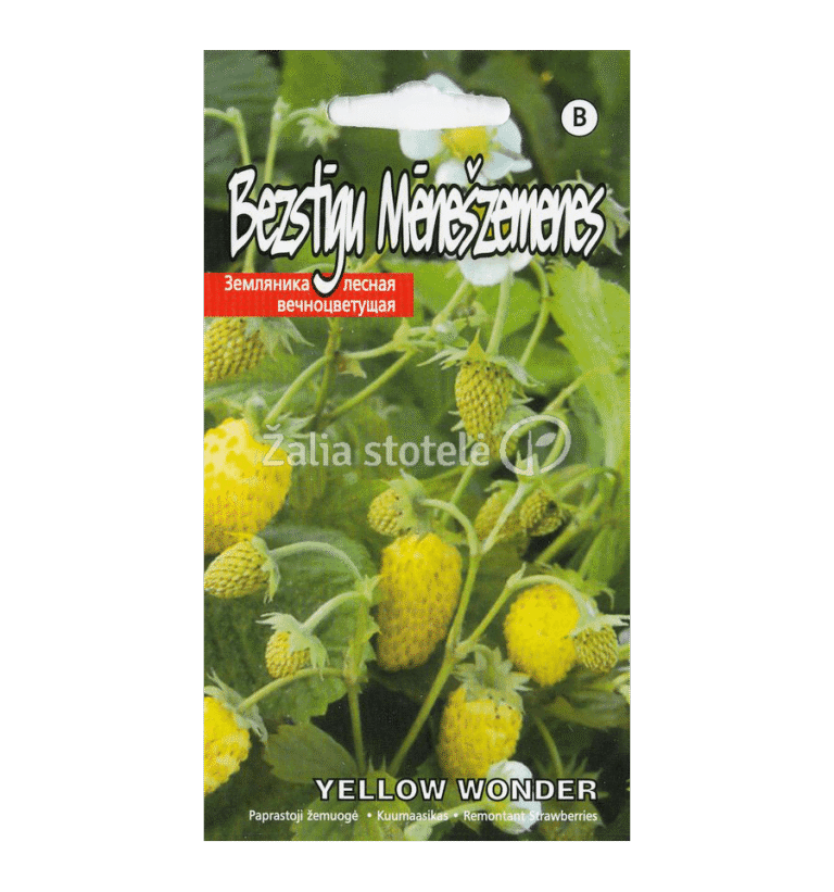 Fragaria vesca "Yellow Wonder" 0,1g Kurzemes seklas