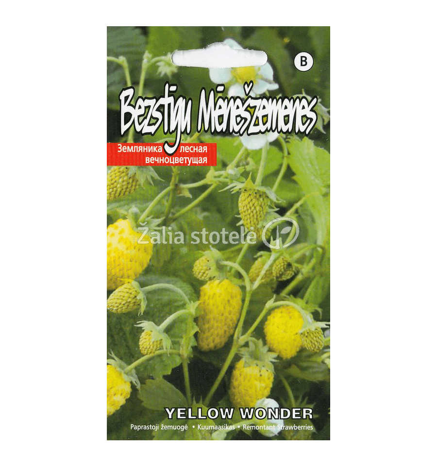 Meža zemene "Yellow Wonder", 0,1 g, Kurzemes Sēklas