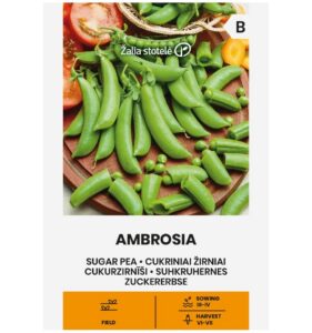 Cukurzirņi "Ambrosia" Žalia stotele 30 g