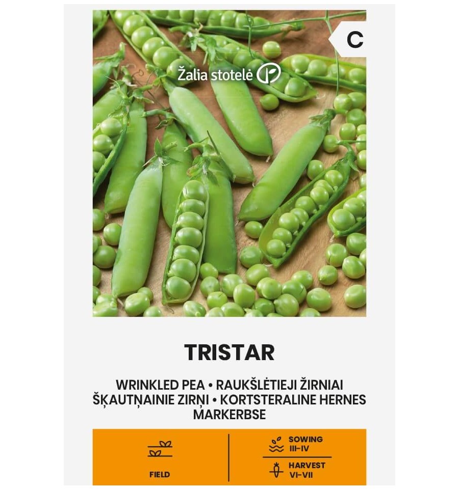 Smegeninis žirnis "Tristar" Žalia stotele 20 g